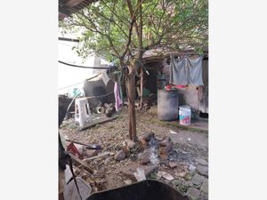 Terreno en Venta en Tajin Poza Rica de Hidalgo