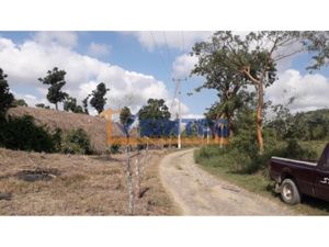 Terreno en Venta en Totomaxtle Papantla