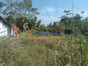 Terreno en Renta en La Mata Tuxpan