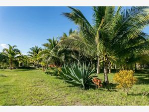 Terreno en Venta en Leona Vicario Puerto Morelos