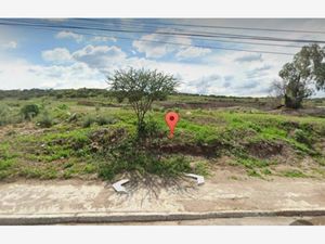 Terreno en Venta en Tlaxinacalpan Tepeji del Río de Ocampo