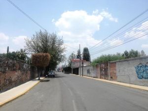 Terreno en Renta en Centro San Juan del Río