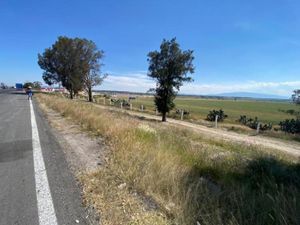 Terreno en Venta en El Gavillero de la Trinidad (La Curva) Polotitlán