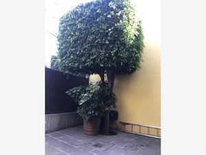 Casa en Venta en Toriello Guerra Tlalpan