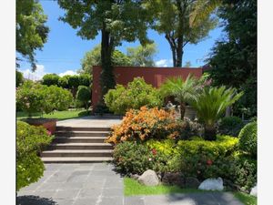 Casa en Renta en San Angel Álvaro Obregón