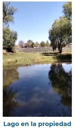 Terreno Al Pie del Bosque La Primavera 1 Hectárea