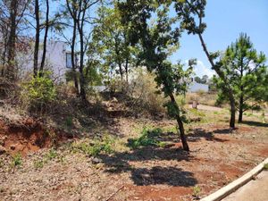 Terreno en Venta en Bosque Monarca Morelia