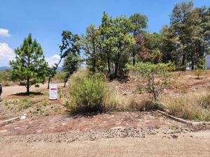 Terreno en Venta en Bosque Monarca Morelia