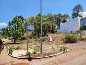 Terreno en Venta en Bosque Monarca Morelia