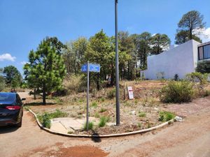 Terreno en Venta en Bosque Monarca Morelia