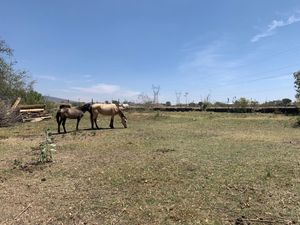 Terreno en Venta en El Ahuatan Tonalá