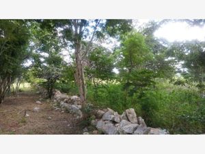 Terreno en Venta en Izamal Izamal