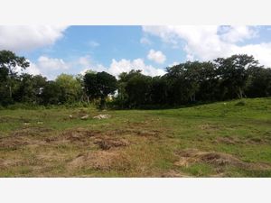 Terreno en Venta en Calotmul Calotmul