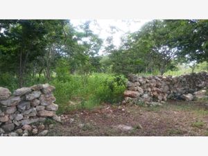 Terreno en Venta en Calotmul Calotmul