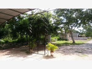 Terreno en Venta en Calotmul Calotmul