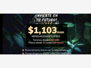 Terreno en Venta en Calotmul Calotmul