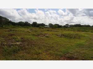 Terreno en Venta en Calotmul Calotmul