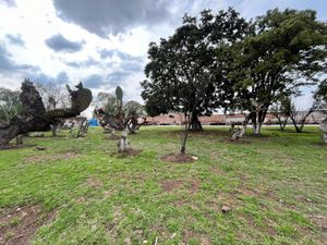 Terreno en Venta en Concepción Jolalpan Centro Tepetlaoxtoc