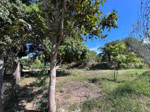 Terreno en Venta en La Corregidora Lázaro Cárdenas