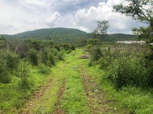 Terreno en Venta en Huertos Agua Azul Morelia