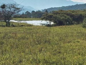 Terreno en Venta en Los Llanos Charo