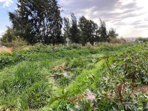 Terreno en Venta en San Pedro de los Sauces Tarímbaro