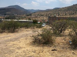 Terreno en Venta en Jaripeo Charo