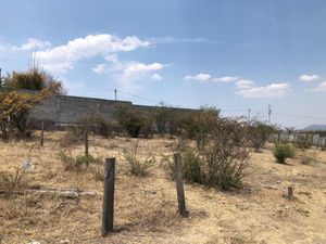 Terreno en Venta en Jaripeo Charo