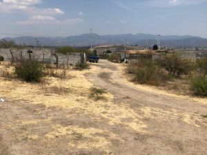 Terreno en Venta en Jaripeo Charo