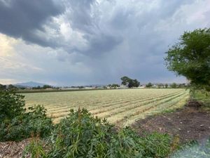 Terreno en Venta en San Pedro de los Sauces Tarímbaro