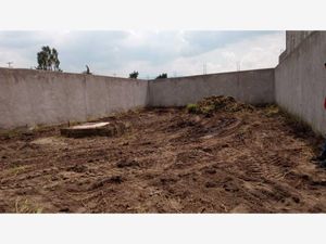 Terreno en Venta en San Francisco Tlalcilalcalpan Almoloya de Juárez