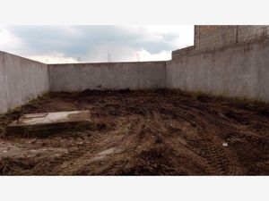 Terreno en Venta en San Francisco Tlalcilalcalpan Almoloya de Juárez