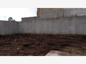 Terreno en Venta en San Francisco Tlalcilalcalpan Almoloya de Juárez