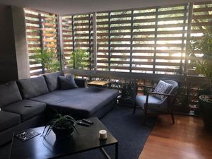 Departamento Renta Polanco, Newton, RDR617531