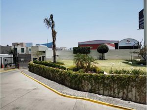Departamento en Renta en San Bernardino Tlaxcalancingo San Andrés Cholula