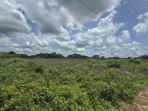 Terreno en venta en Izamal