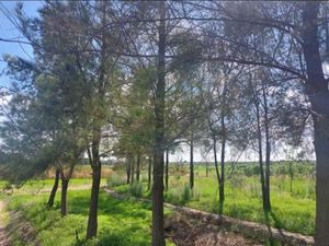 Terreno en Venta en La Haciendita León