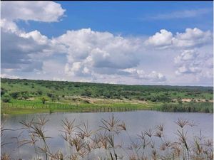 Terreno en Venta en La Haciendita León