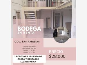 Bodega en Renta en Granjas las Amalias León