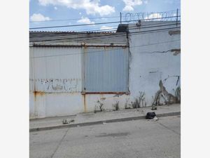 Bodega en Renta en Granjas las Amalias León