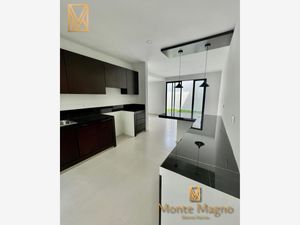 Casa en Venta en Residencial Monte Magno Xalapa