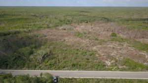 Terreno en venta en Yucatán, ideal para desarrollo