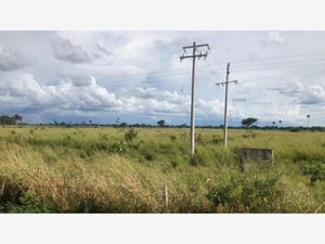 Finca/Rancho en Venta en Dzonot Carretero Tizimín