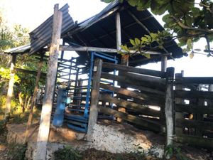 Finca/Rancho en Venta en Sucila Sucilá