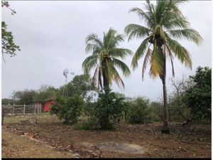 Finca/Rancho en Venta en Cenote Yalsihón Buena Fe Panabá