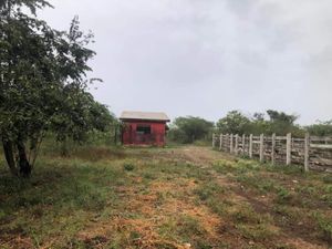 Finca/Rancho en Venta en Cenote Yalsihón Buena Fe Panabá