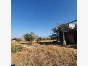 Terreno en Venta en Yecapixteca Yecapixtla