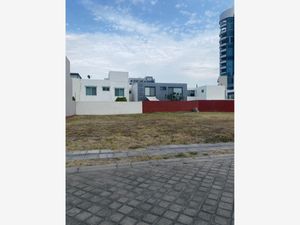 Terreno en Venta en Bosques de Zavaleta Puebla