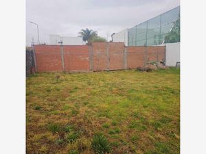 Terreno en Venta en Los Pinos San Pedro Cholula