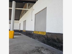 Bodega en Renta en Ex-Rancho Colorado Puebla